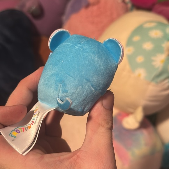 Squaz the mouse eating cheese squishville squishmallow NWT and capsule - Picture 2 of 5